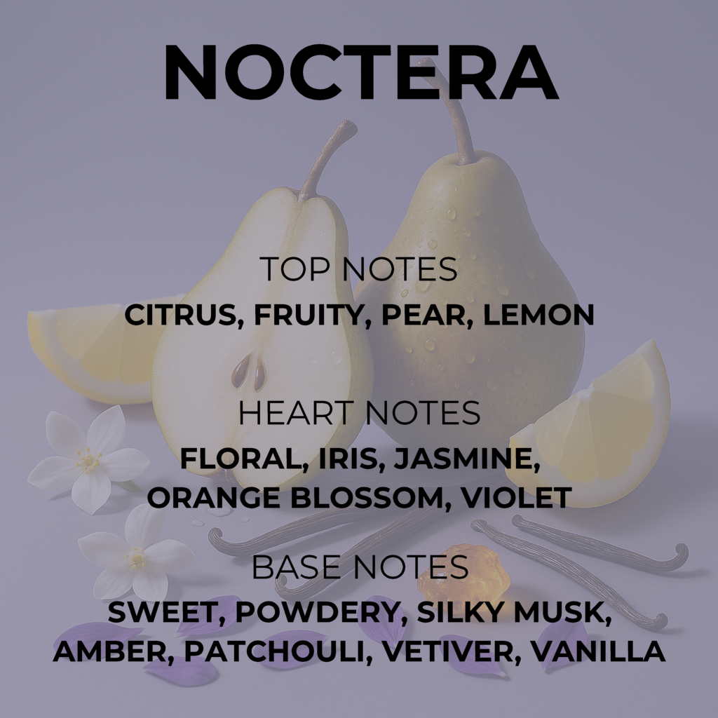 Noctera