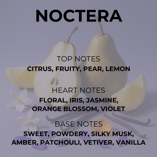 Noctera