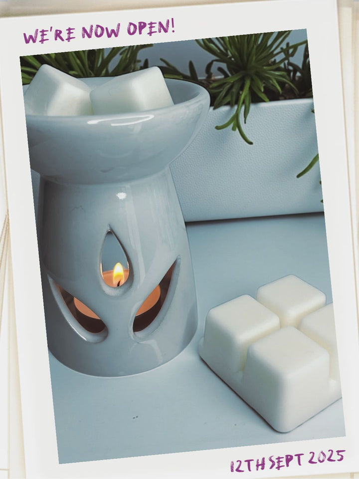 Opening Day at Casa De Lumière