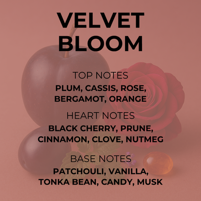 Velvet Bloom